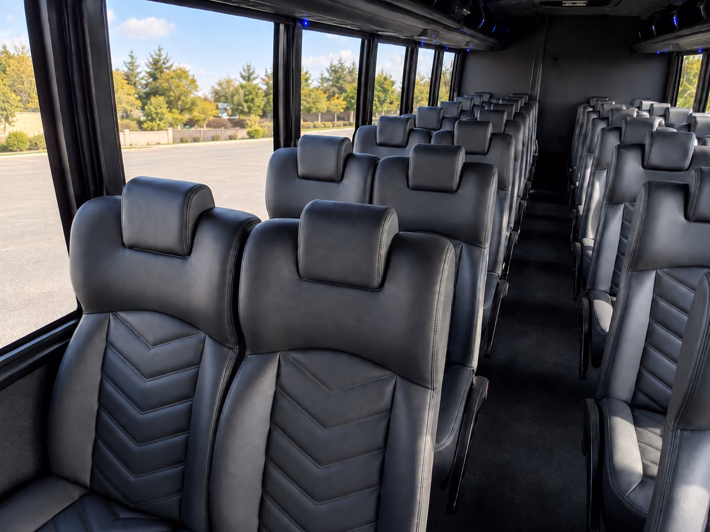 new braunfels wine tour transportation