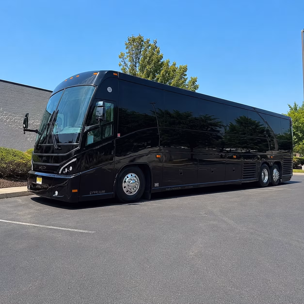 newbraunfelscharterbuscompany com puts the full range of central texas bus options right at your fingertips
